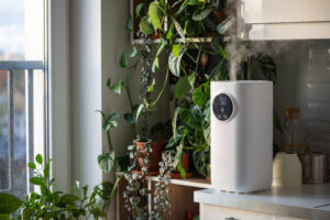 air purifier eco friendly envirionment