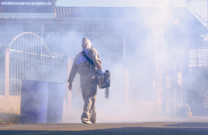 Fogging Services