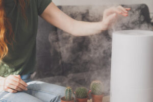 humidifier